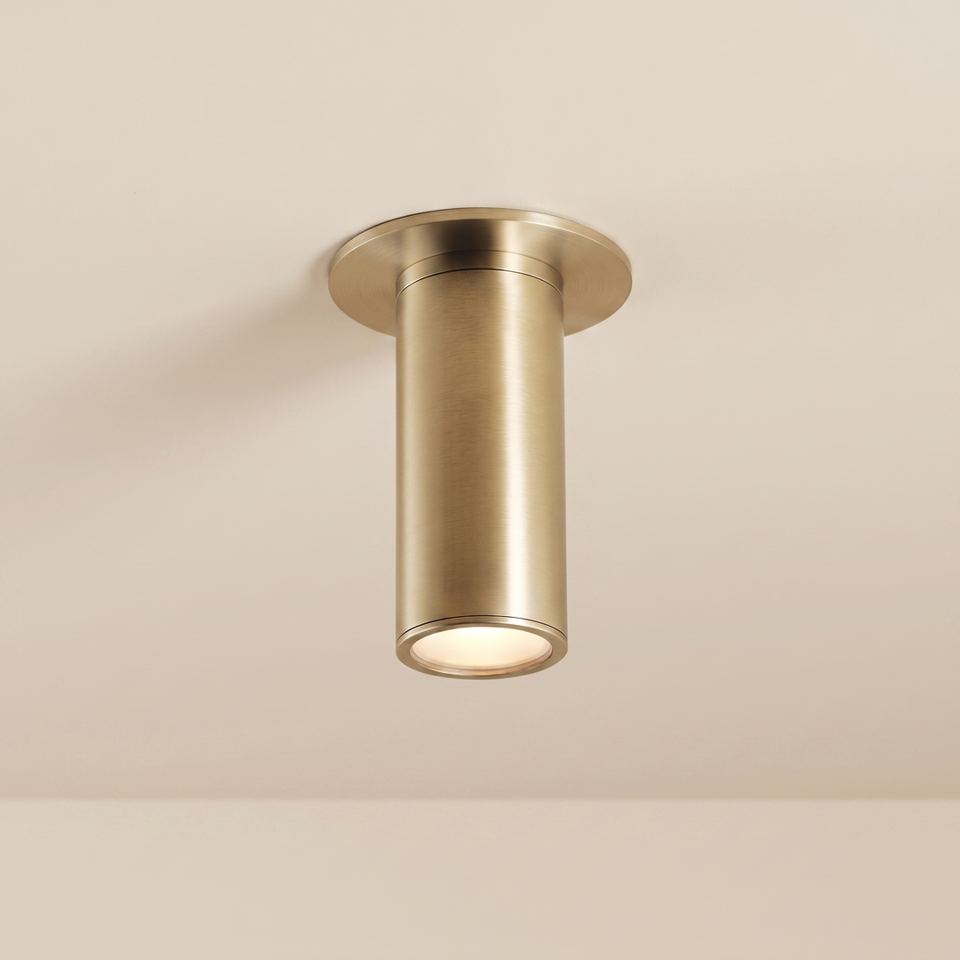 Paloma Flushmount Spotlight (Brushed Brass)