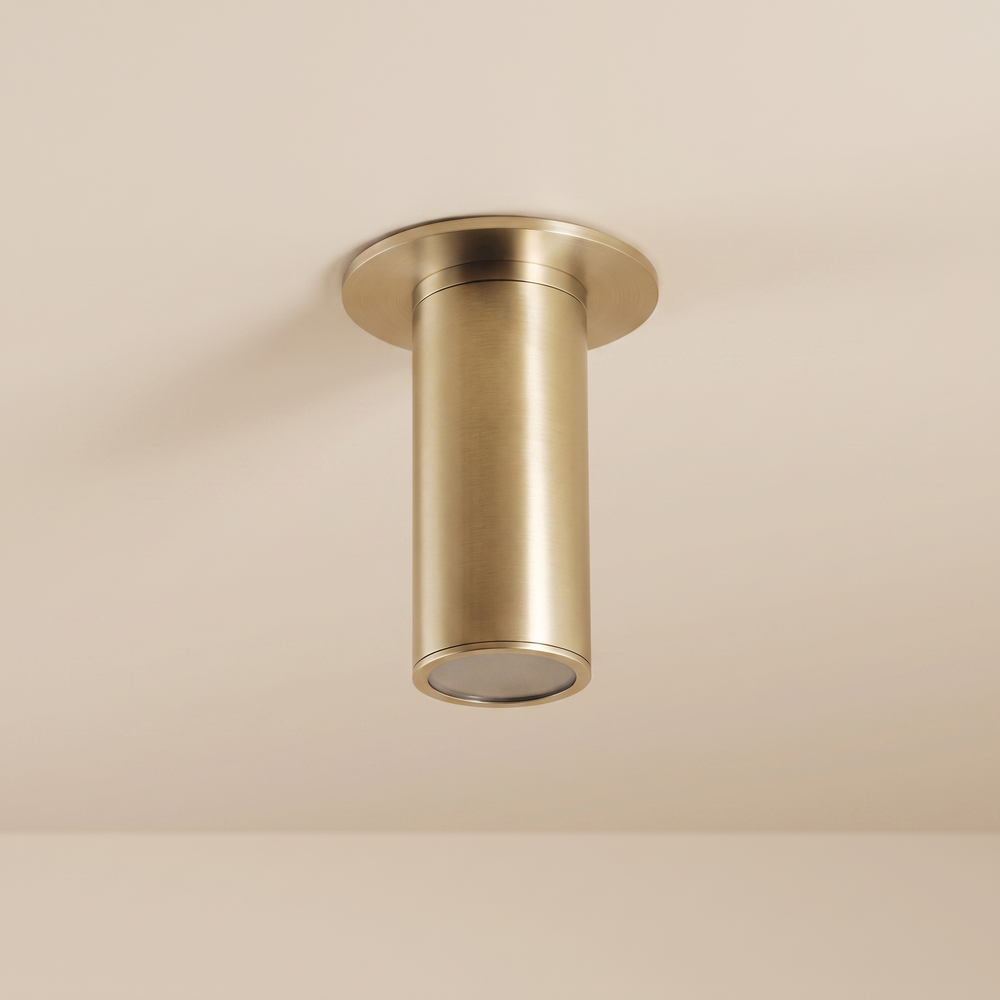 Paloma Flushmount Spotlight (Brushed Brass)