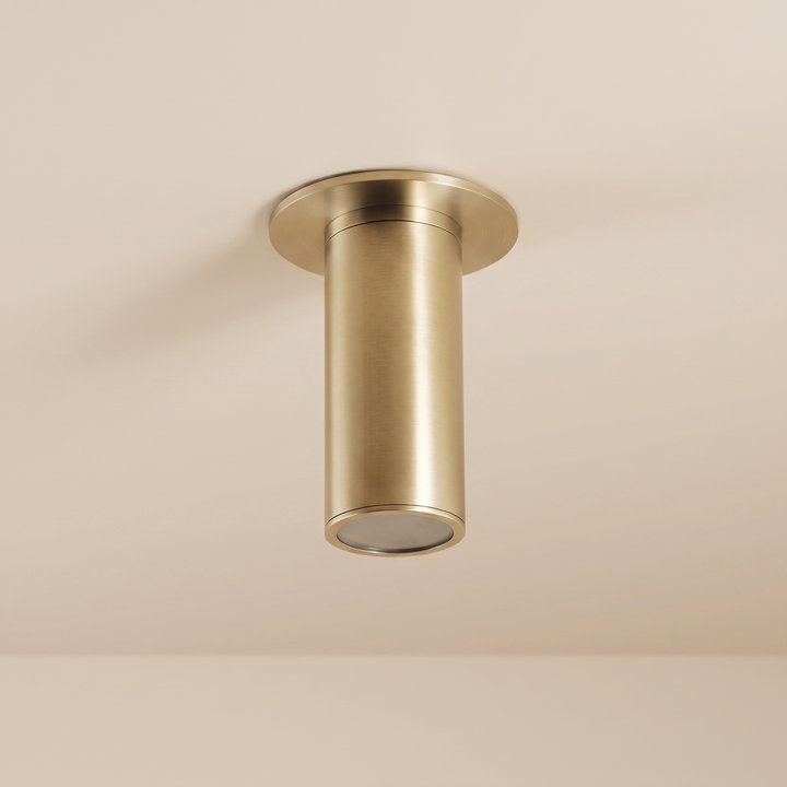 Paloma Flushmount Spotlight (Brushed Brass)