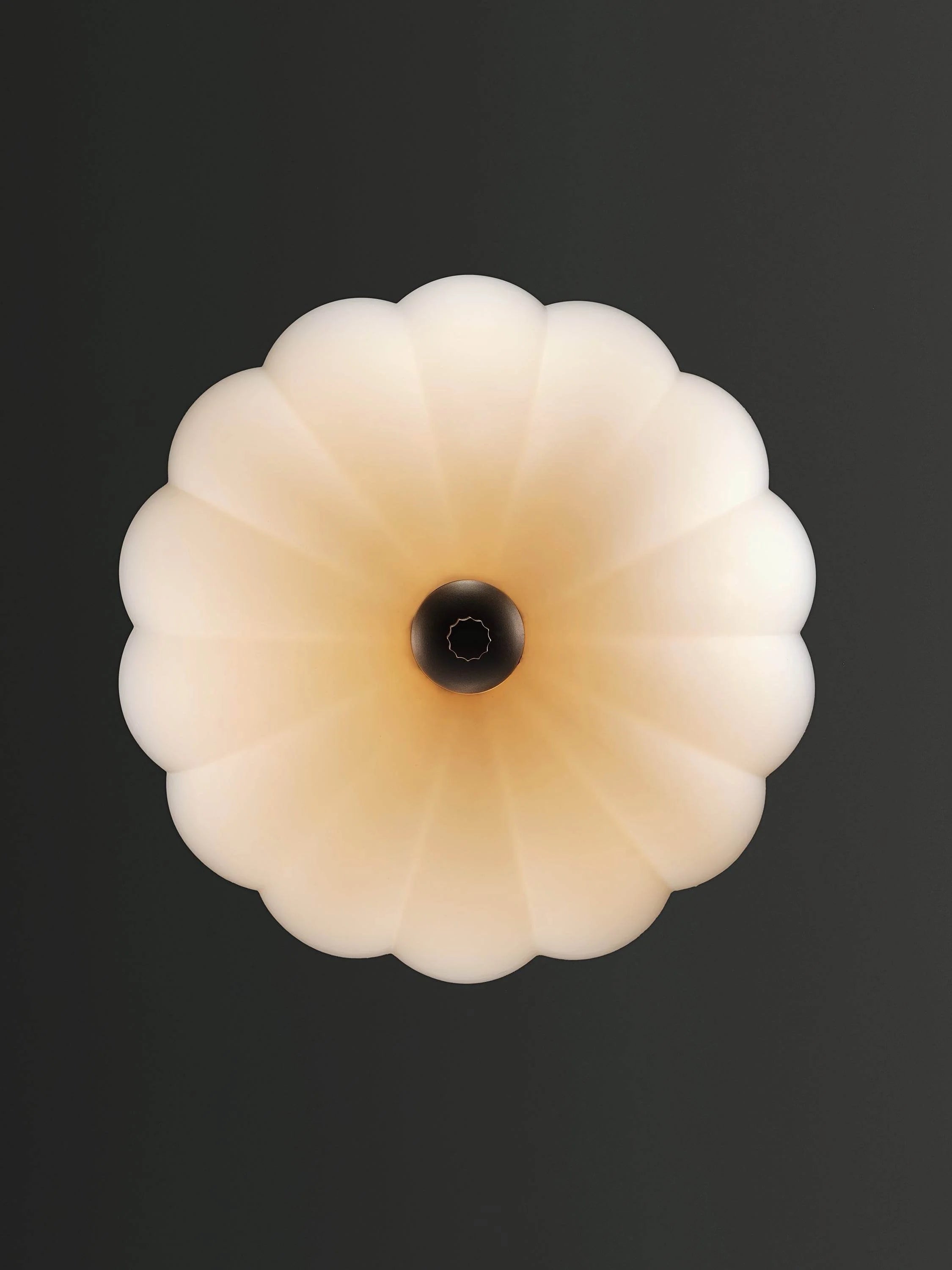 Volare - Thumbnail 3